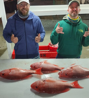 Snapper Bliss In Panama City Beach 